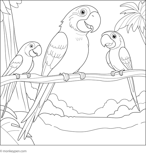Macaw Family Coloring Page – tropical bird printable for children