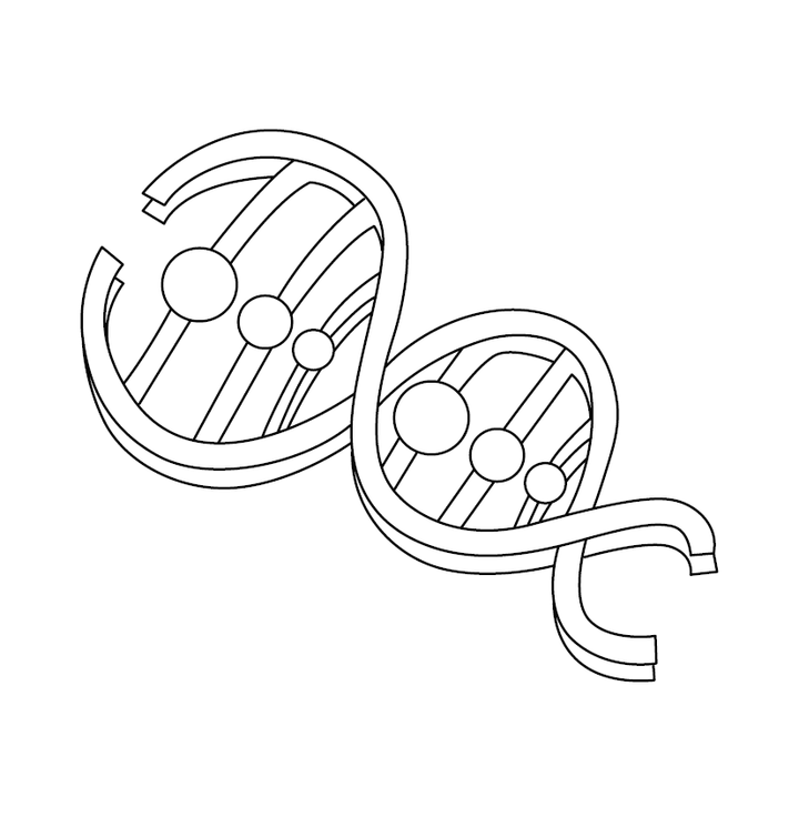 DNA Structure Coloring Book – Instant PDF Download