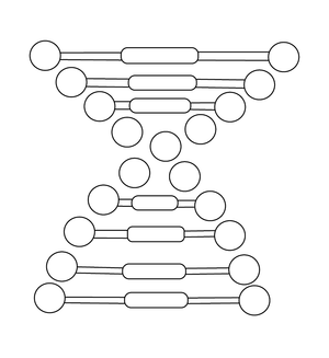 Dna Structure  coloring page – fun and educational printable for children