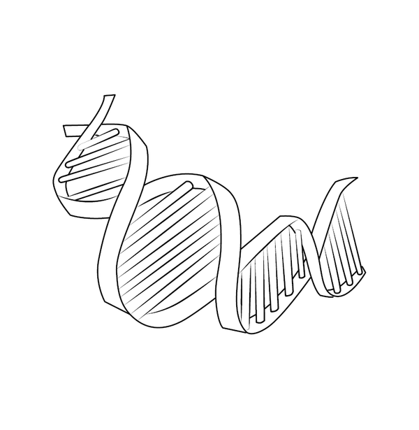 DNA Structure Coloring Book