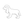 Dogs Coloring Book