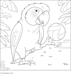 Macaw Playing with a Ball Coloring Page – tropical bird printable for children