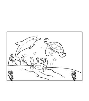 Aquatic Animals Coloring Picture
