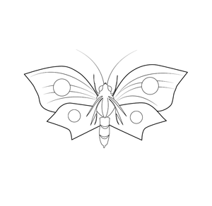 Butterfly  coloring page – fun and educational printable for children