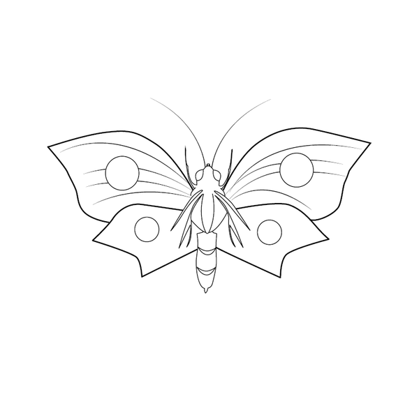 Butterfly  coloring page – fun and educational printable for children