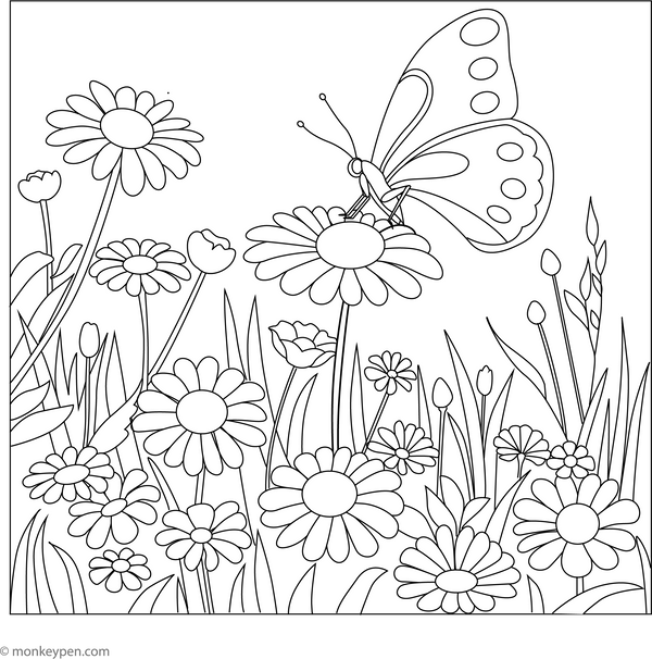 Butterfly in the Meadow Coloring Page – fun and educational printable for children