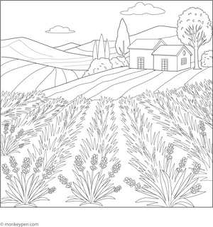 Provence Lavender Fields Coloring Page – fun and educational printable for children