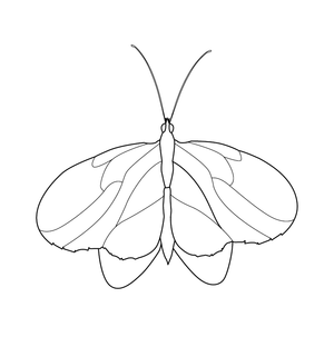Butterfly  coloring page – fun and educational printable for children