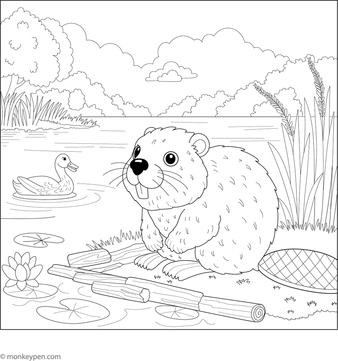 Beaver Coloring Book – Free Printable PDF