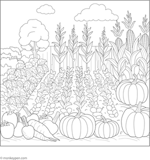 Vegetable Garden Coloring Page