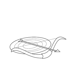 Bow and Arrow Coloring Picture