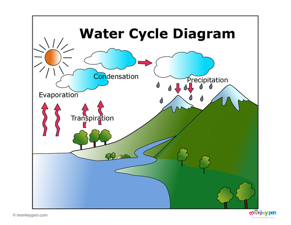 Educational printable water cycle chart with labeled stages of evaporation, condensation, precipitation, and collection to support student understanding.