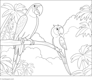Macaw and Parrot Coloring Page – tropical bird printable for children