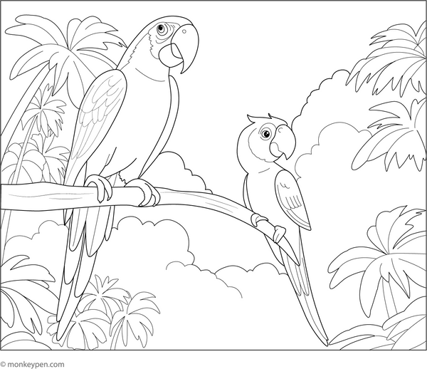 Macaw and Parrot Coloring Page – tropical bird printable for children