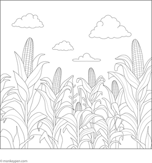 Cornfield Coloring Page