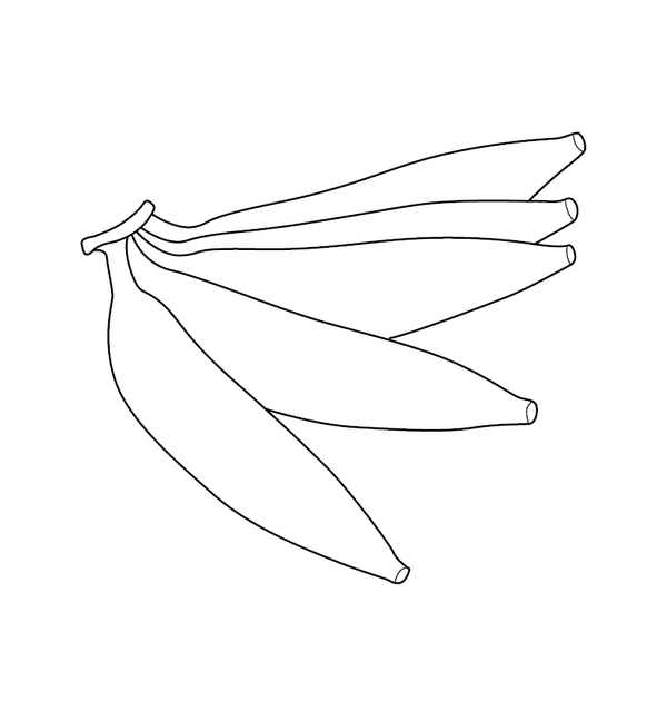 Fruits And Vegetables Coloring Book