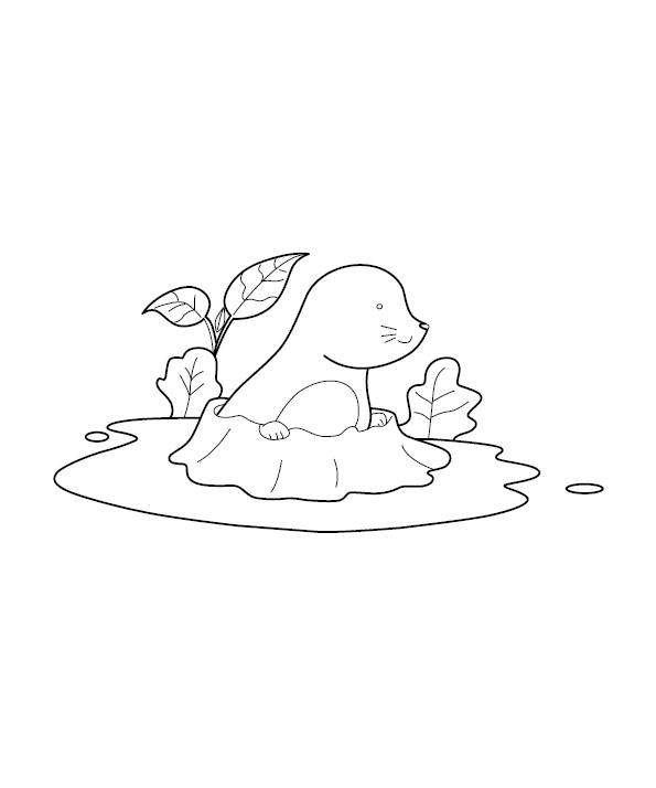 Sea Lion Coloring Picture