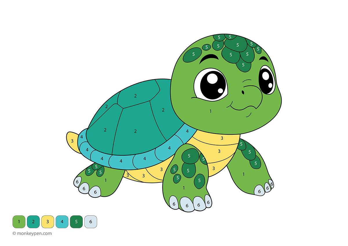 Turtle Color by Number Printable – Printable PDF for Kids
