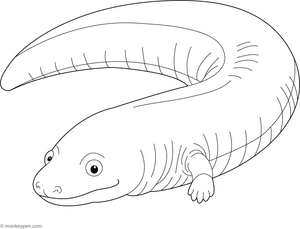 Printable Caecilian Coloring Picture