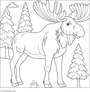 Illustration of an elegant moose standing amidst trees in a woodland setting, suitable for children's coloring activities. 