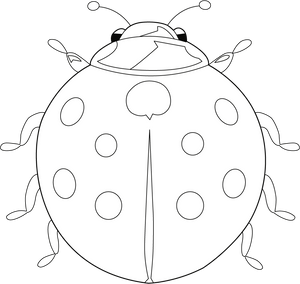 Ladybug coloring page – fun and educational printable for children