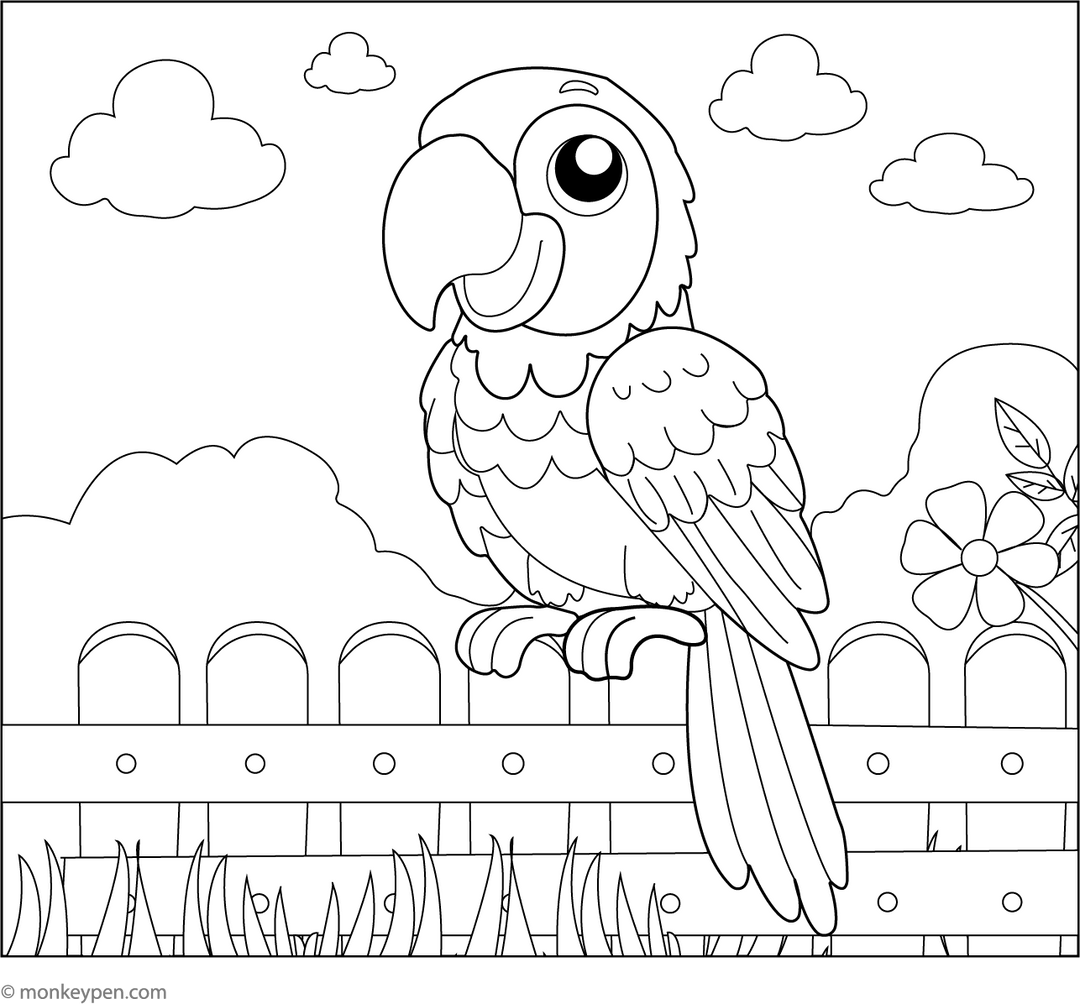 Printable Macaw Coloring Book PDF