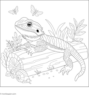 Bearded Dragon On A Log