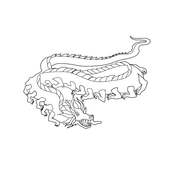 Dragons Coloring Book