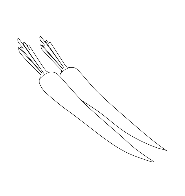 Vegetables Coloring Book