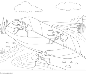 Ants Crossing Leaf Bridge Coloring Page