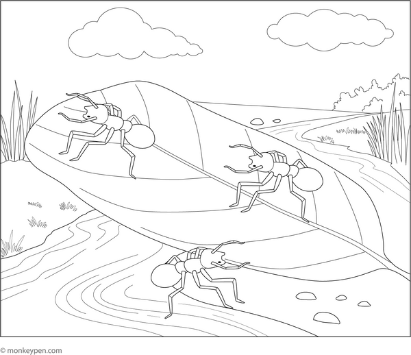 Ants Crossing Leaf Bridge Coloring Page