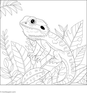 Bearded Dragon in Jungle Adventure Coloring Page