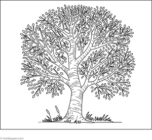 Birch Tree Coloring Page
