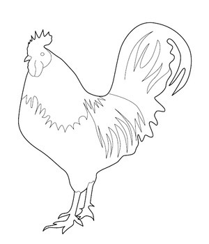 Hen Coloring Page