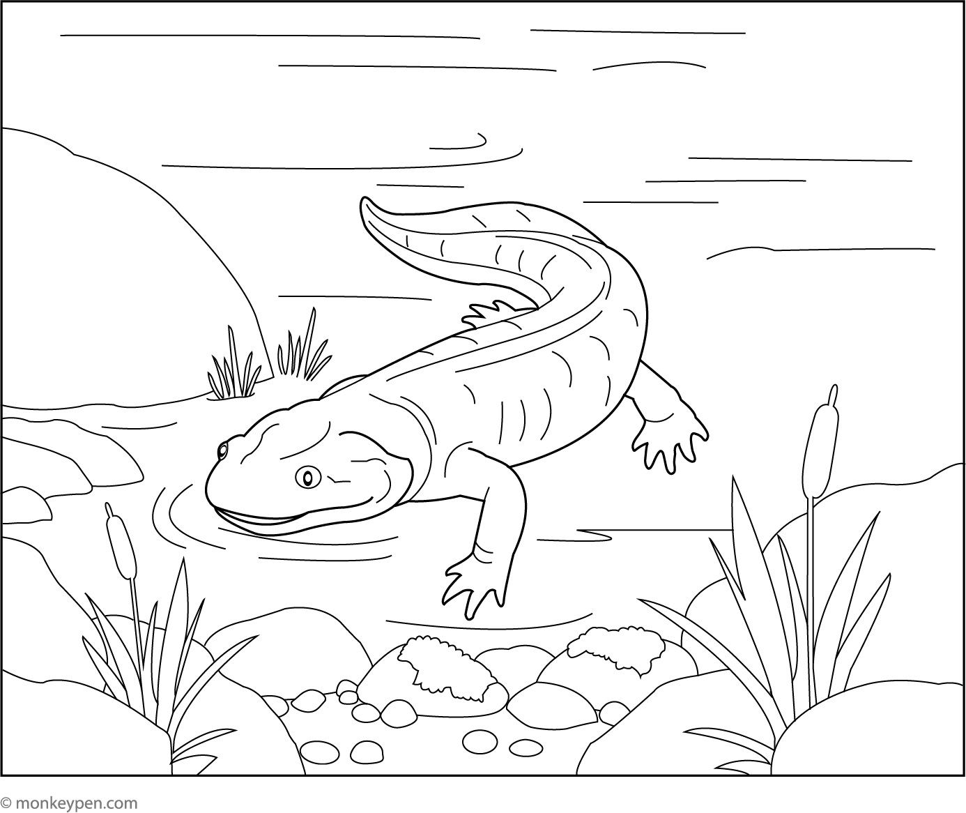 Hellbender Vector Hellbender | Free Coloring Pages