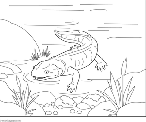 Printable Hellbender Coloring Image for Kids