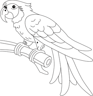 Macaw coloring page – tropical bird printable for children