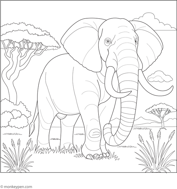 African Elephant Coloring Page