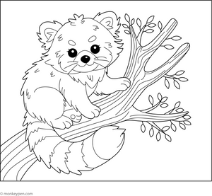 Red Panda Coloring Page