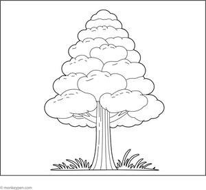 Cypress Tree Coloring Page