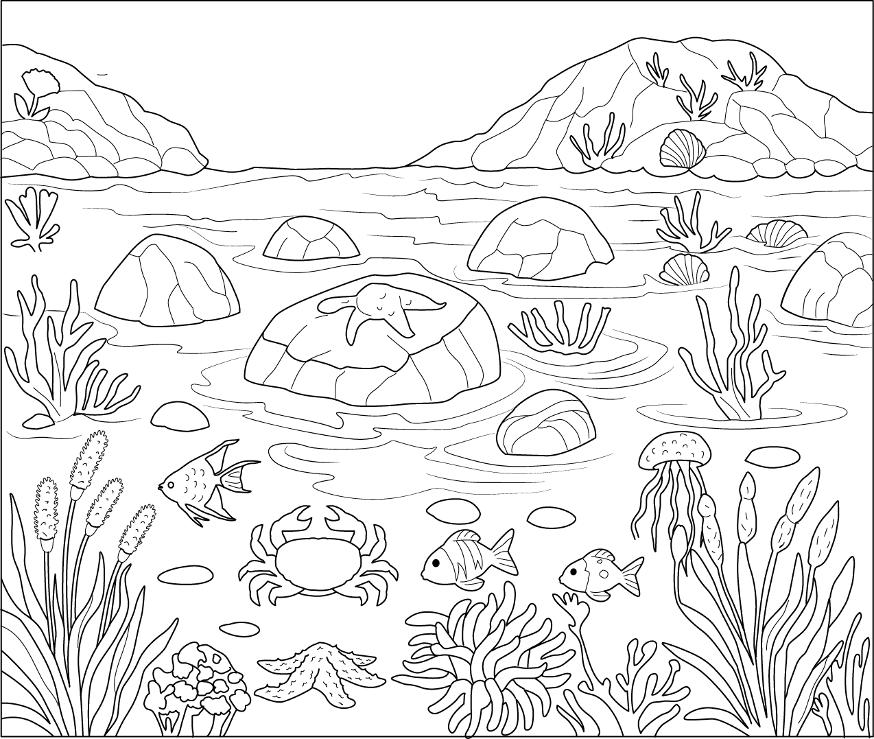 Pool Coluring In Tide Pool Coloring Page β Free Printable PDF for Kids