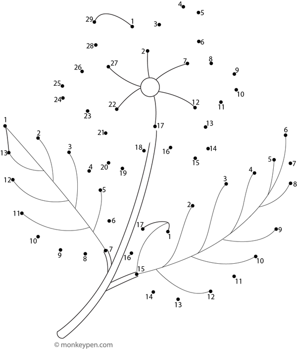 Connect-the-dots image displaying a jasmine flower with five petals and a brief stem, ready to be colored after completion.