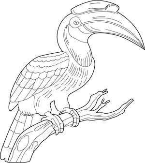 Horn Bill coloring page – fun and educational printable for children