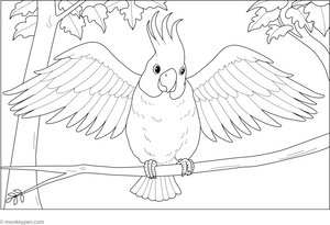 Cockatoo with Feathers Spread Coloring Page  – fun and educational printable for children