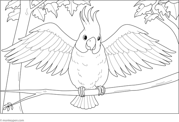 Cockatoo with Feathers Spread Coloring Page  – fun and educational printable for children