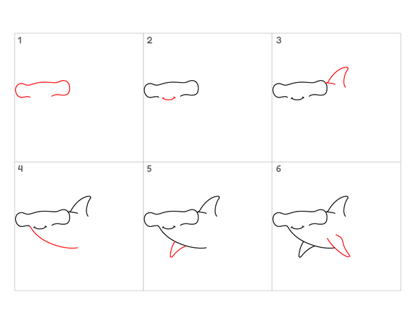 How to Draw a Hammerhead Shark – Simple Step-by-Step Shark Drawing for Kids