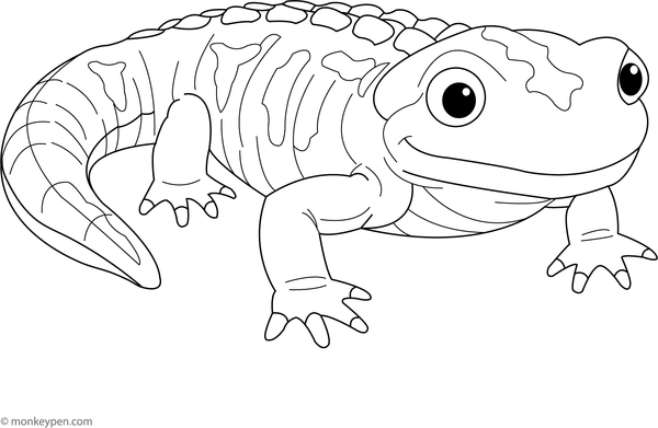 Printable Tiger Salamander Coloring Sheet for Kids