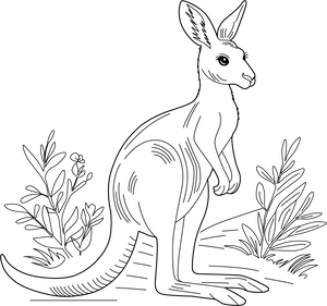 Kangaroo coloring page – fun and educational printable for children