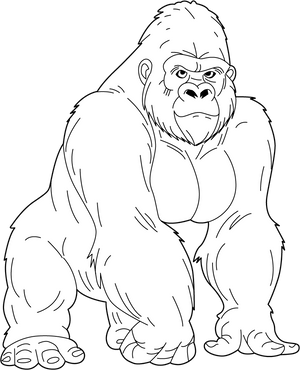 Gorilla coloring page – fun and educational printable for children