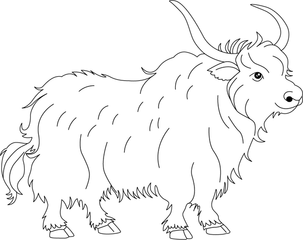 Wild Animals Coloring Book – Instant Download